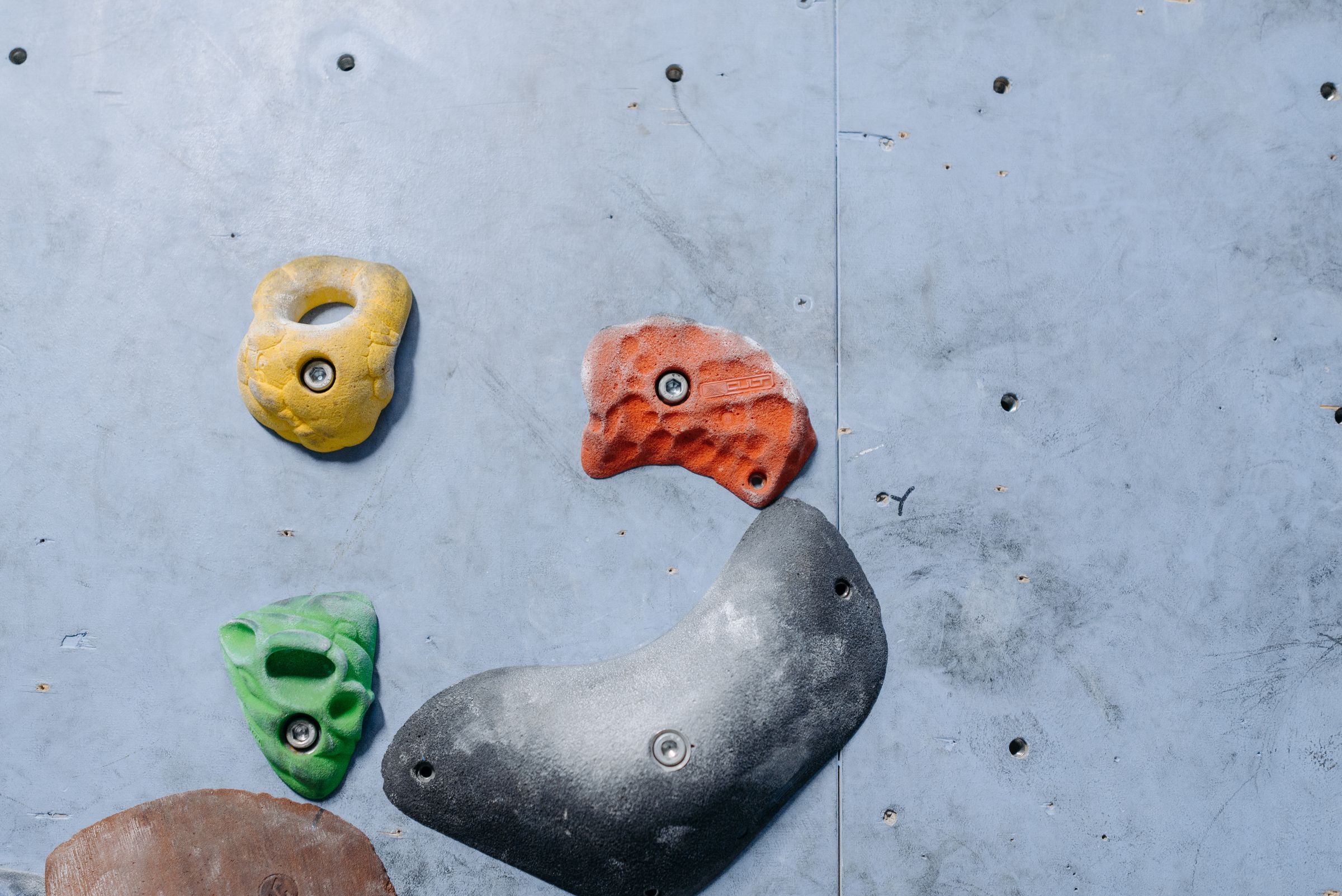 Colorful holds bolted to a climbing wall