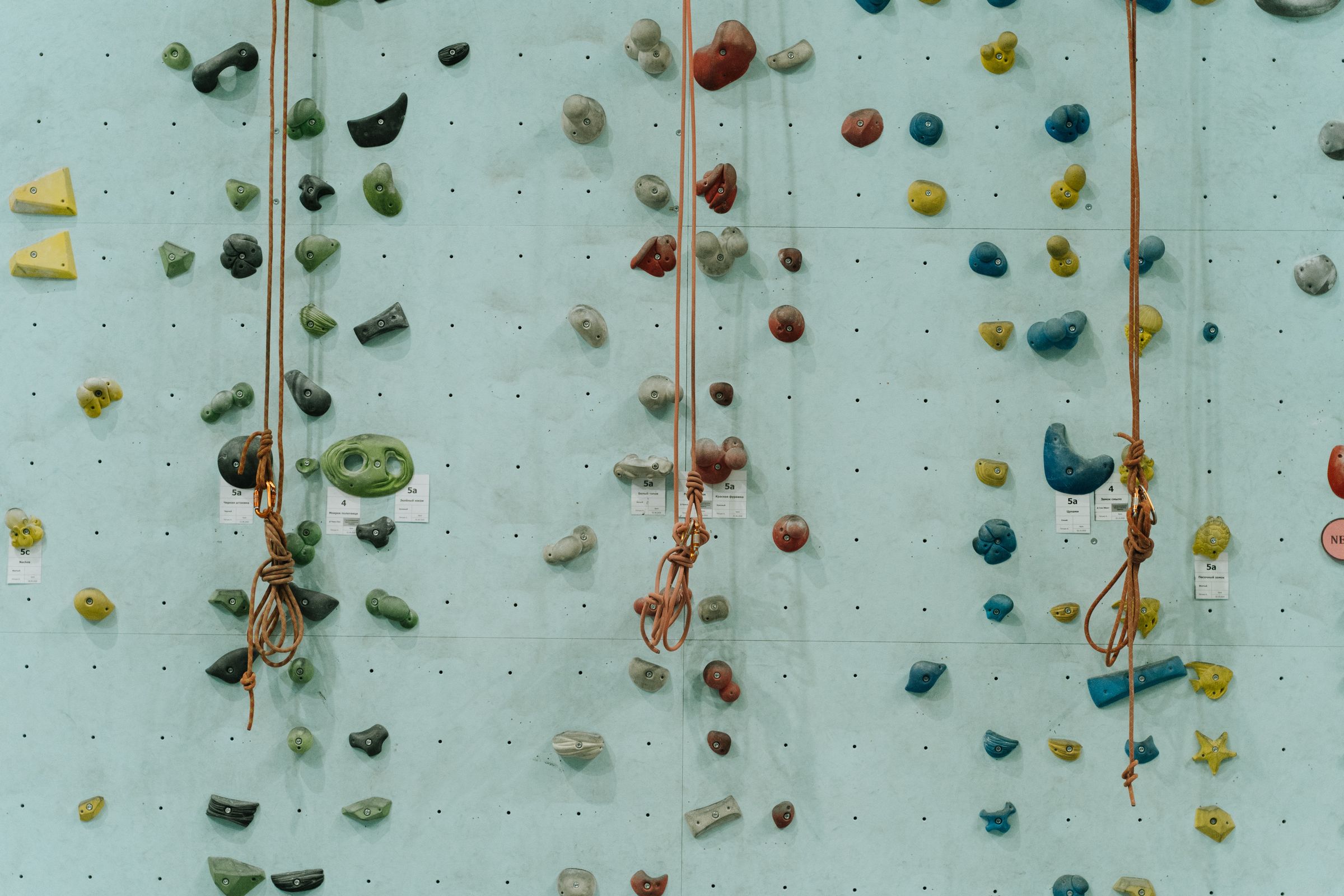 Rope-climbing routes on a tall indoor climbing wall