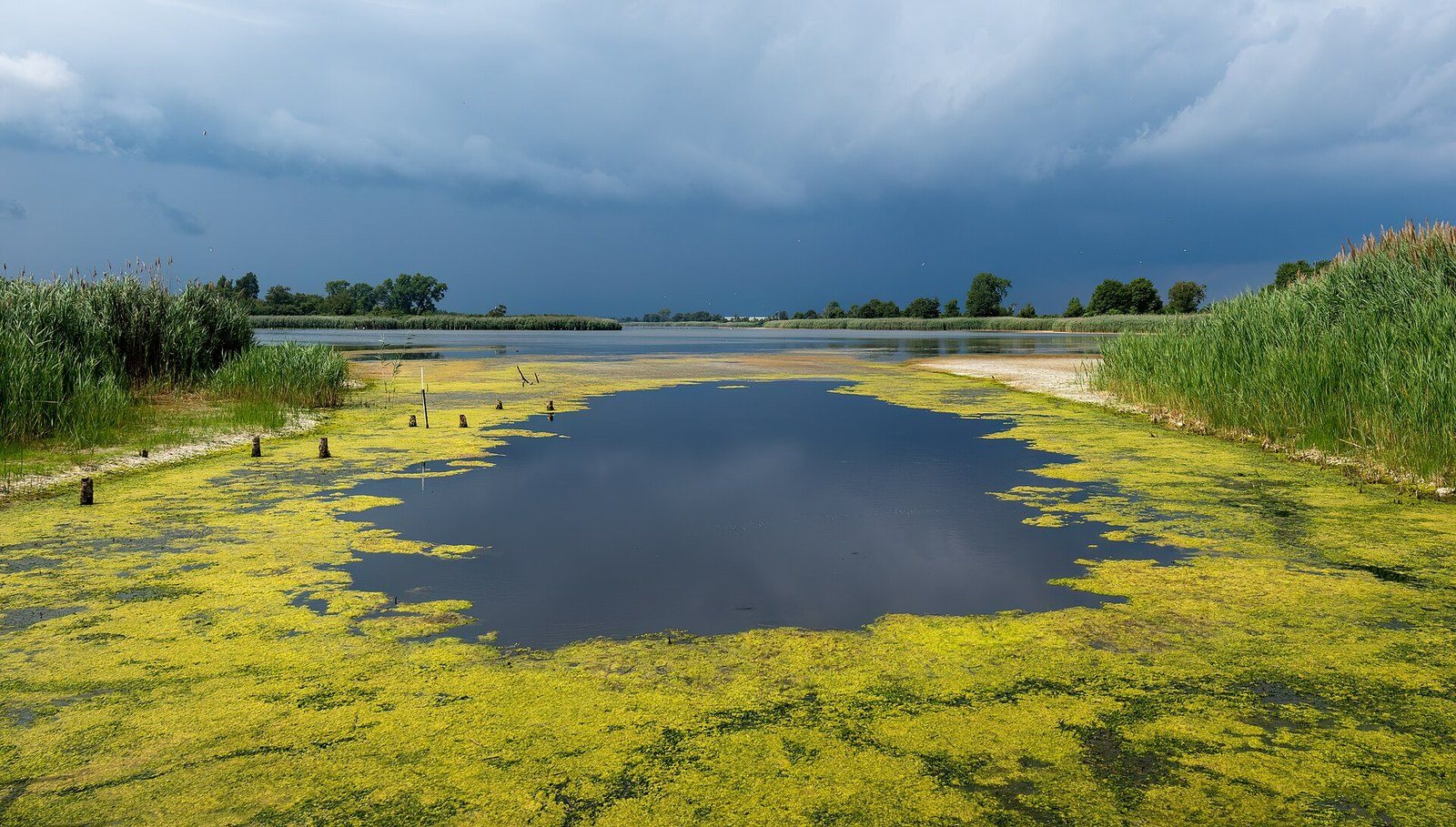 The East Pond at Jamaica Bay Wildlife Refuge under a stormy sky, edged by marsh grasses