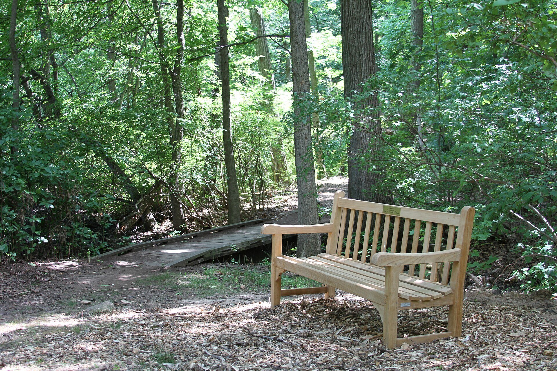 A shaded dirt trail and wooden bench in the Staten Island Greenbelt's woods