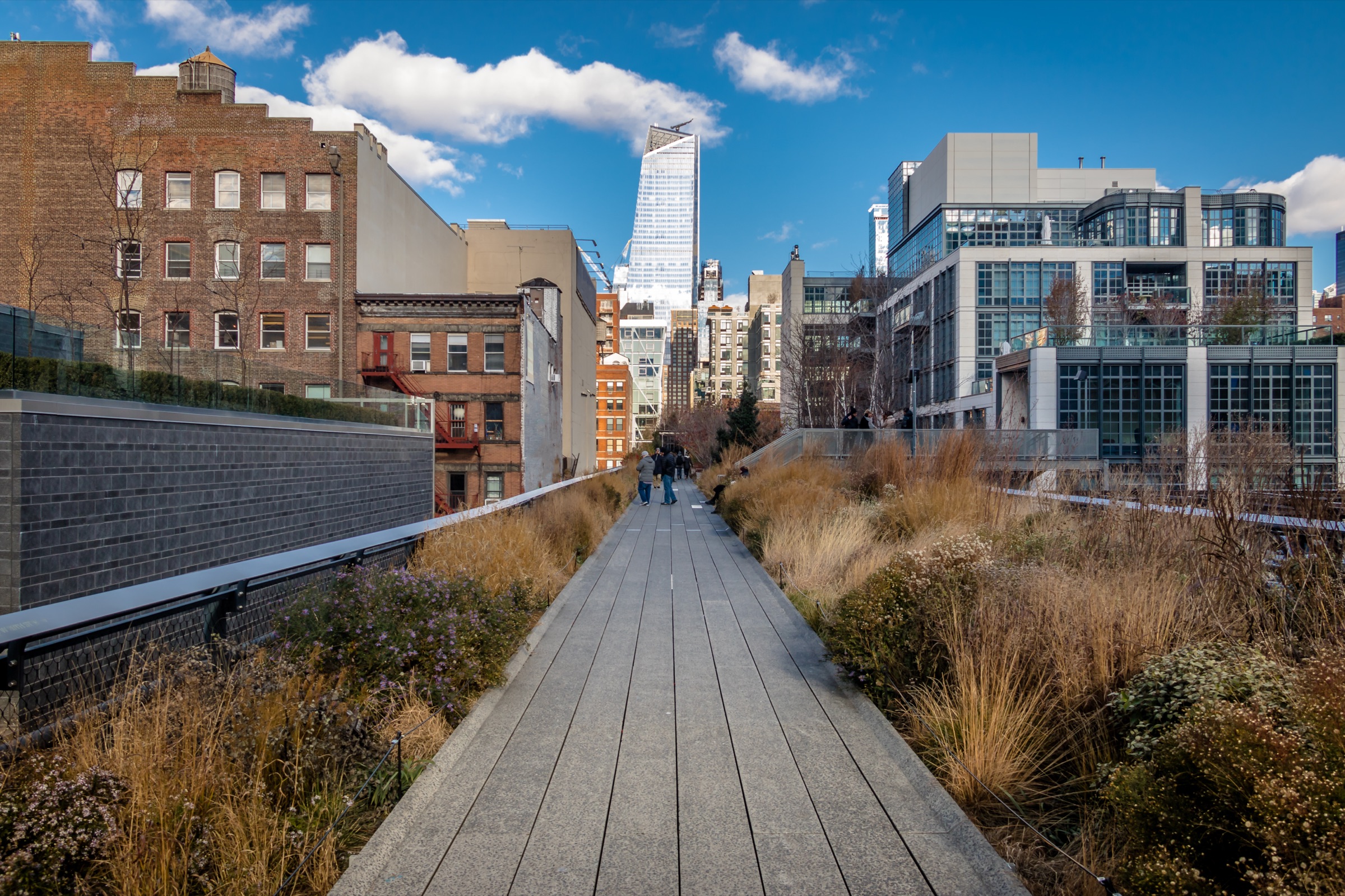 The High Line's planted walkway between buildings, old rails visible among grasses