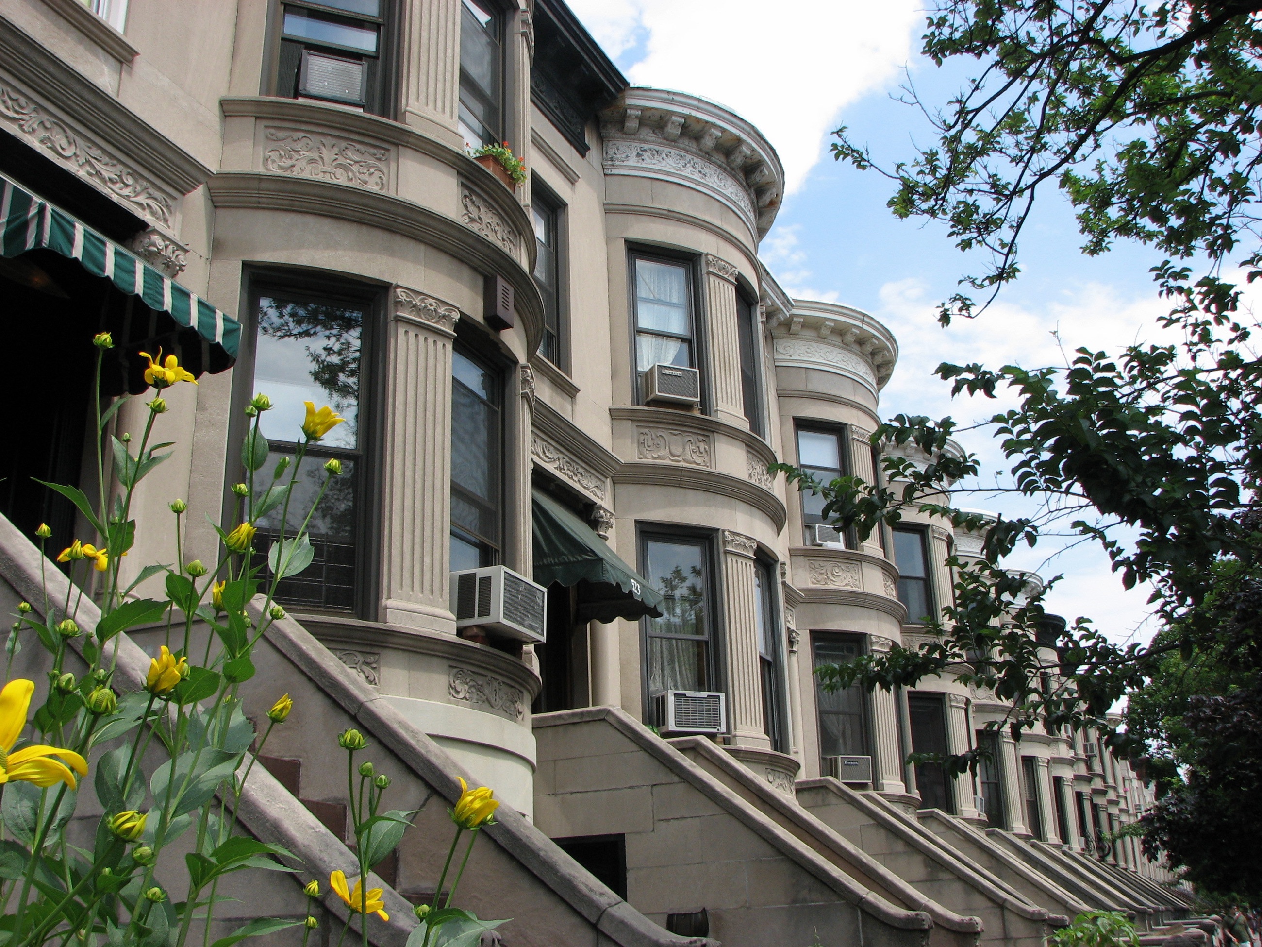 A row of Park Slope brownstones with high stoops under mature street trees in afternoon light