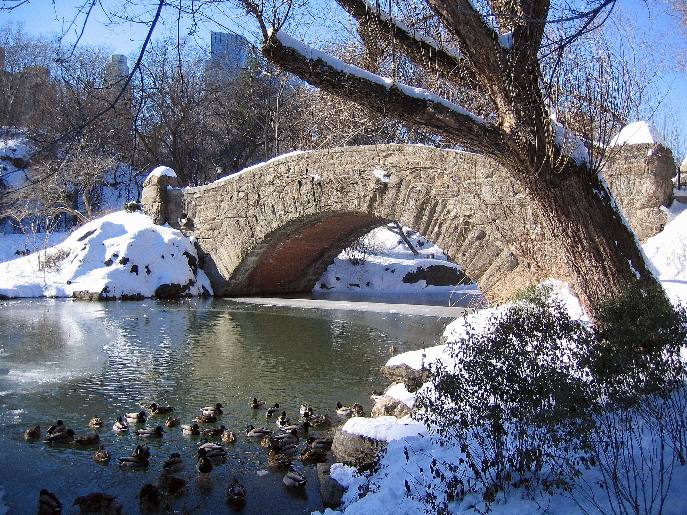 Gapstow Bridge in the snow, with ducks on the Pond below