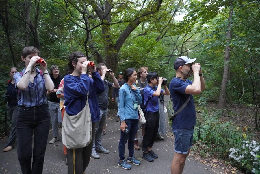 A group scanning the canopy on a guided bird walk in Central Park's Ramble