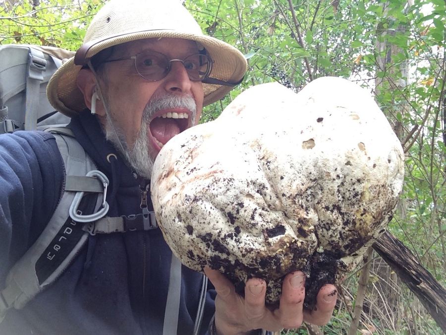 "Wildman" Steve Brill with a giant puffball mushroom
