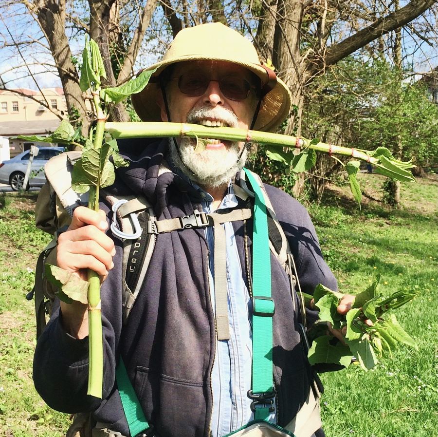 "Wildman" Steve Brill with Japanese knotweed