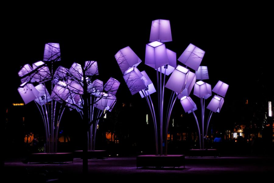 Purple light sculptures shaped like flowers glowing at night
