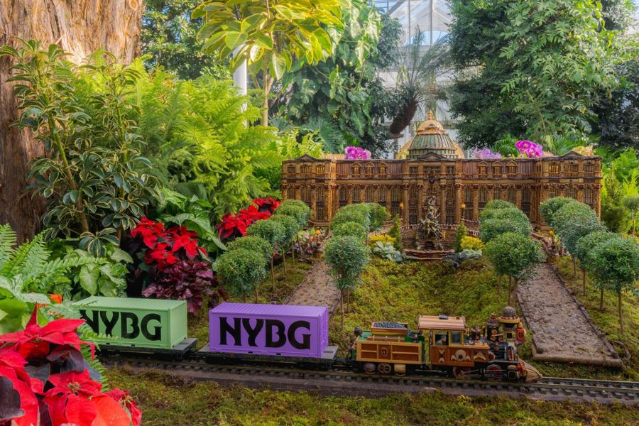An NYBG-branded model train passing a replica of the Mertz Library among poinsettias