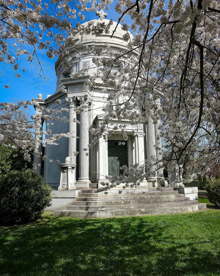 A domed mausoleum framed by cherry blossoms in spring at Woodlawn