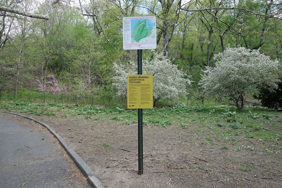 A path climbing into the woods of Inwood Hill Park from Payson Avenue, with a park sign at the entrance
