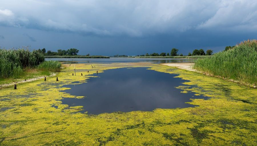 The East Pond at Jamaica Bay Wildlife Refuge under a stormy sky, edged by marsh grasses