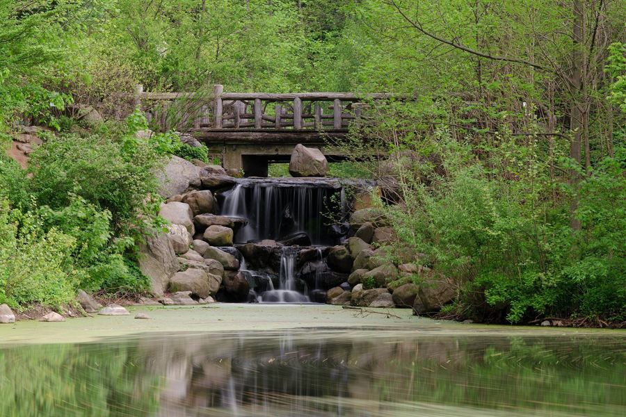A small waterfall spilling over rocks beneath a rustic wooden bridge in Prospect Park's woodland