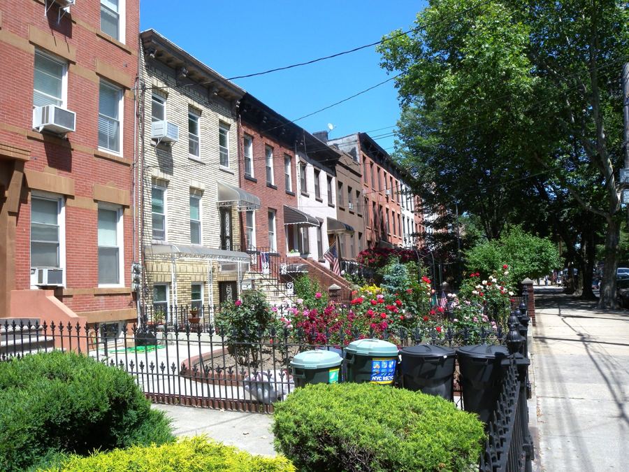 Flower-filled front gardens behind iron fences along a sunny block of brick and brownstone row houses in Carroll Gardens, Brooklyn.