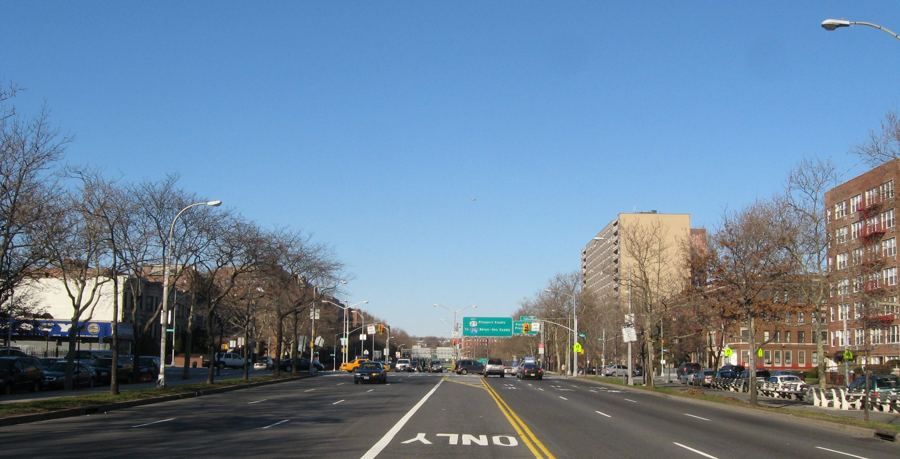 Tree-lined Ocean Parkway in Kensington on a sunny winter afternoon, looking north from Beverley Road
