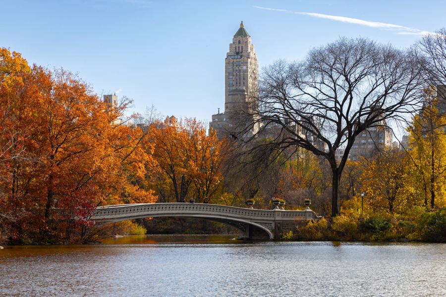 Bow Bridge across the Lake in Central Park, framed by autumn foliage