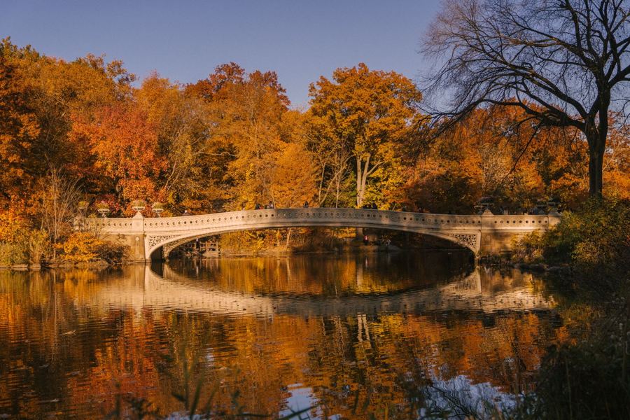 Bow Bridge among orange autumn trees, reflected in the Lake