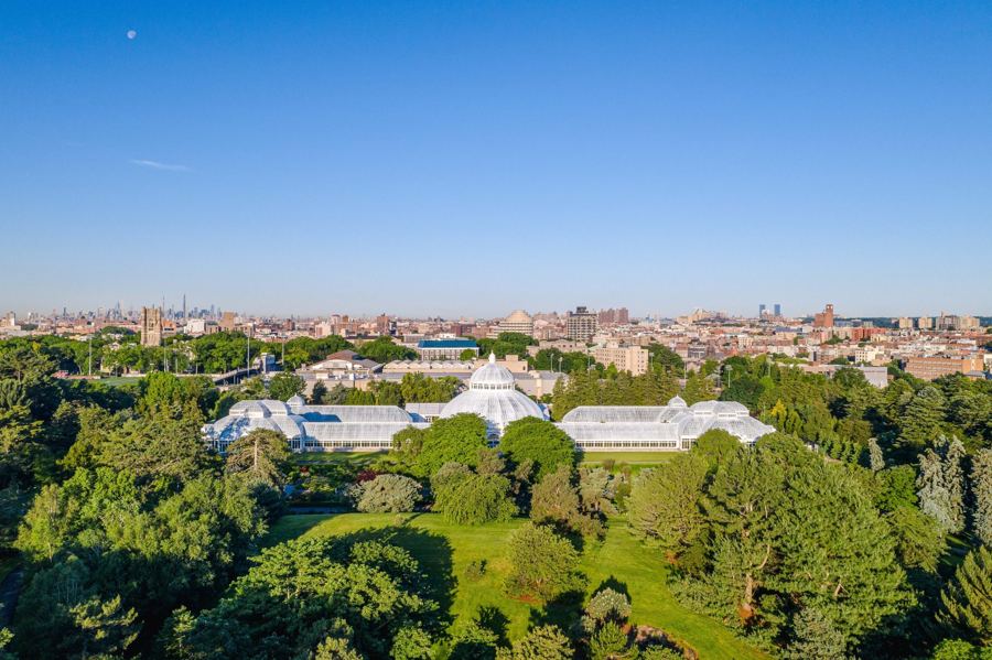 An aerial view of the Haupt Conservatory among the Garden's trees, with the Bronx stretching to the horizon
