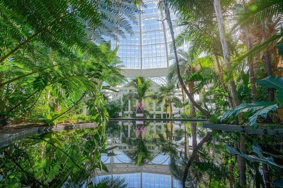 The Palms of the World Gallery inside the Conservatory, reflected in a still pool