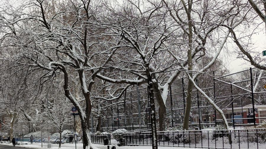 Snow-covered paths and bare trees in Tompkins Square Park
