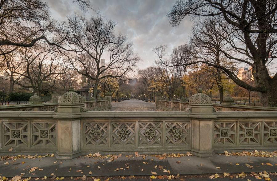 Looking from Bethesda Terrace's carved balustrade up the Mall, autumn leaves on the stone and bare elms against a dusk sky