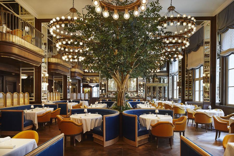Café Carmellini's dining room, a tree rising beneath tiered globe chandeliers over blue banquettes and white-clothed tables