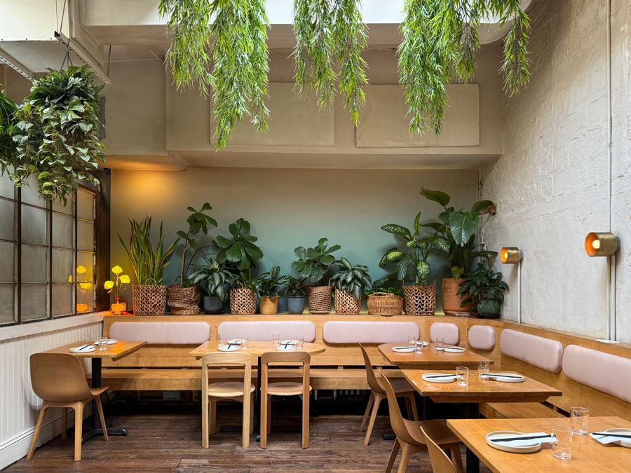 The plant-lined back dining room at Đi Ăn Đi in Greenpoint, with pink banquettes under hanging greenery