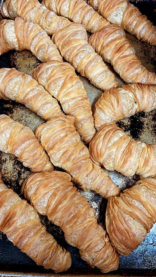 Trays of sfogliatelle at Fortunato Brothers