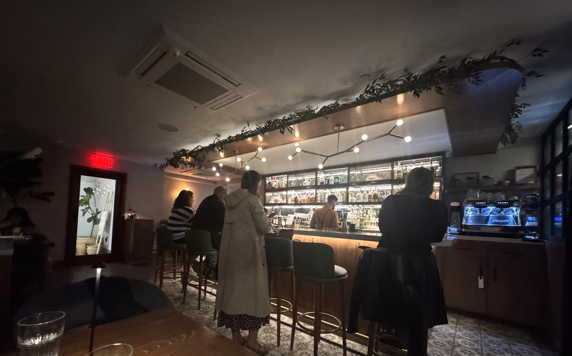 The low-lit bar at Anémi in Astoria, with a branching brass chandelier and greenery along the ceiling