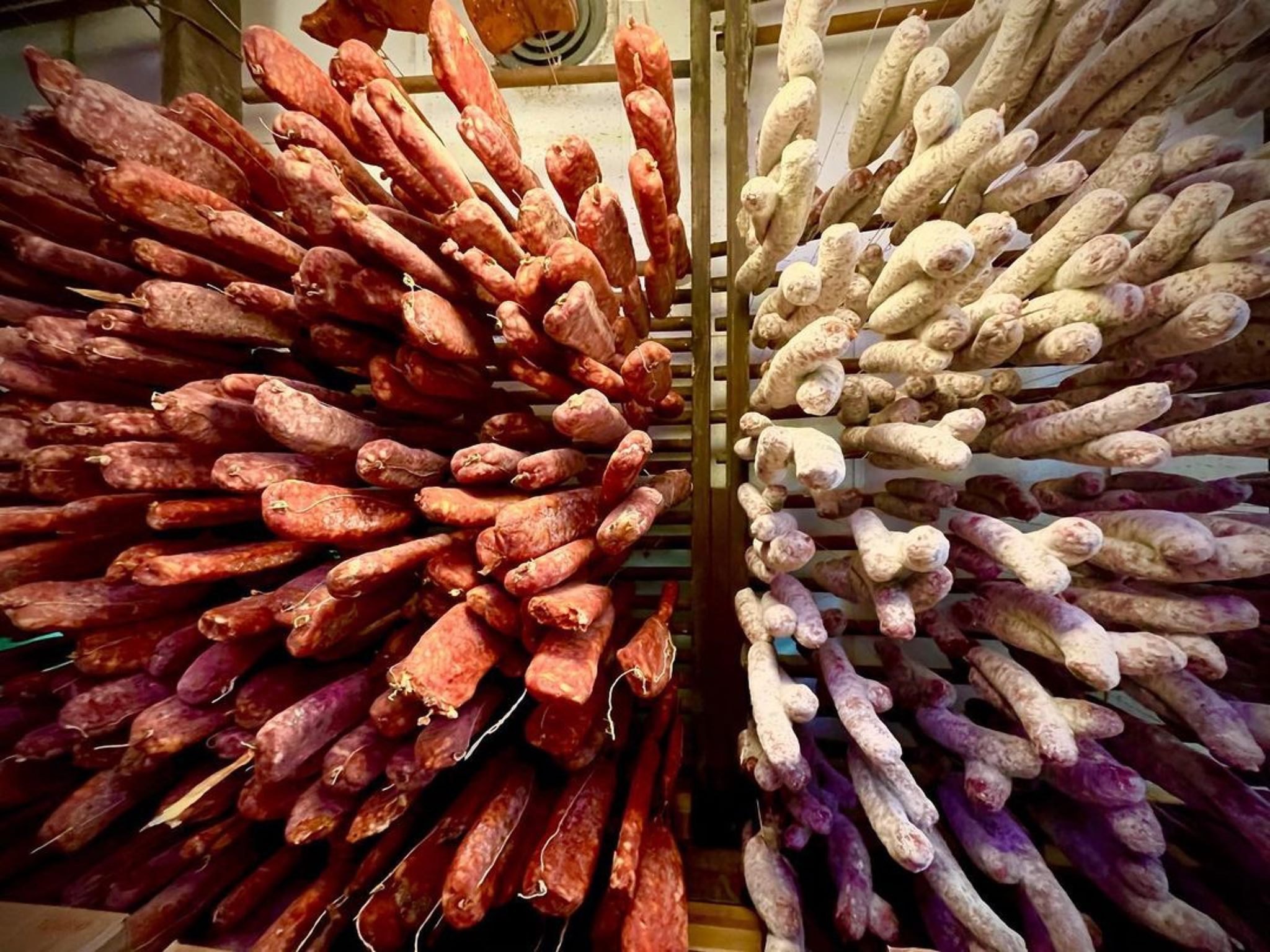 Rows of dry sausages and soppressata hanging from the ceiling of Calabria Pork Store above a deli counter stacked with provolone.