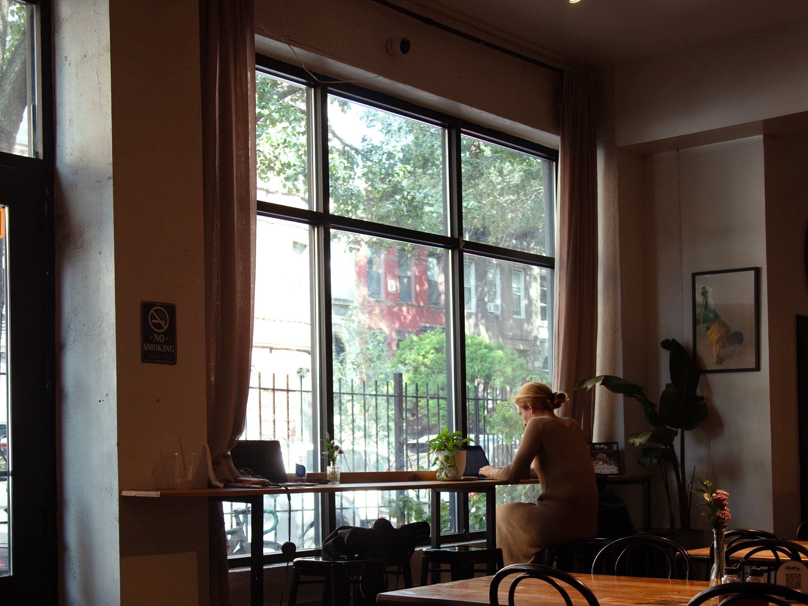 Sunlight through the tall front windows of Mottley Kitchen in Mott Haven, with a guest at the window counter and wooden café tables