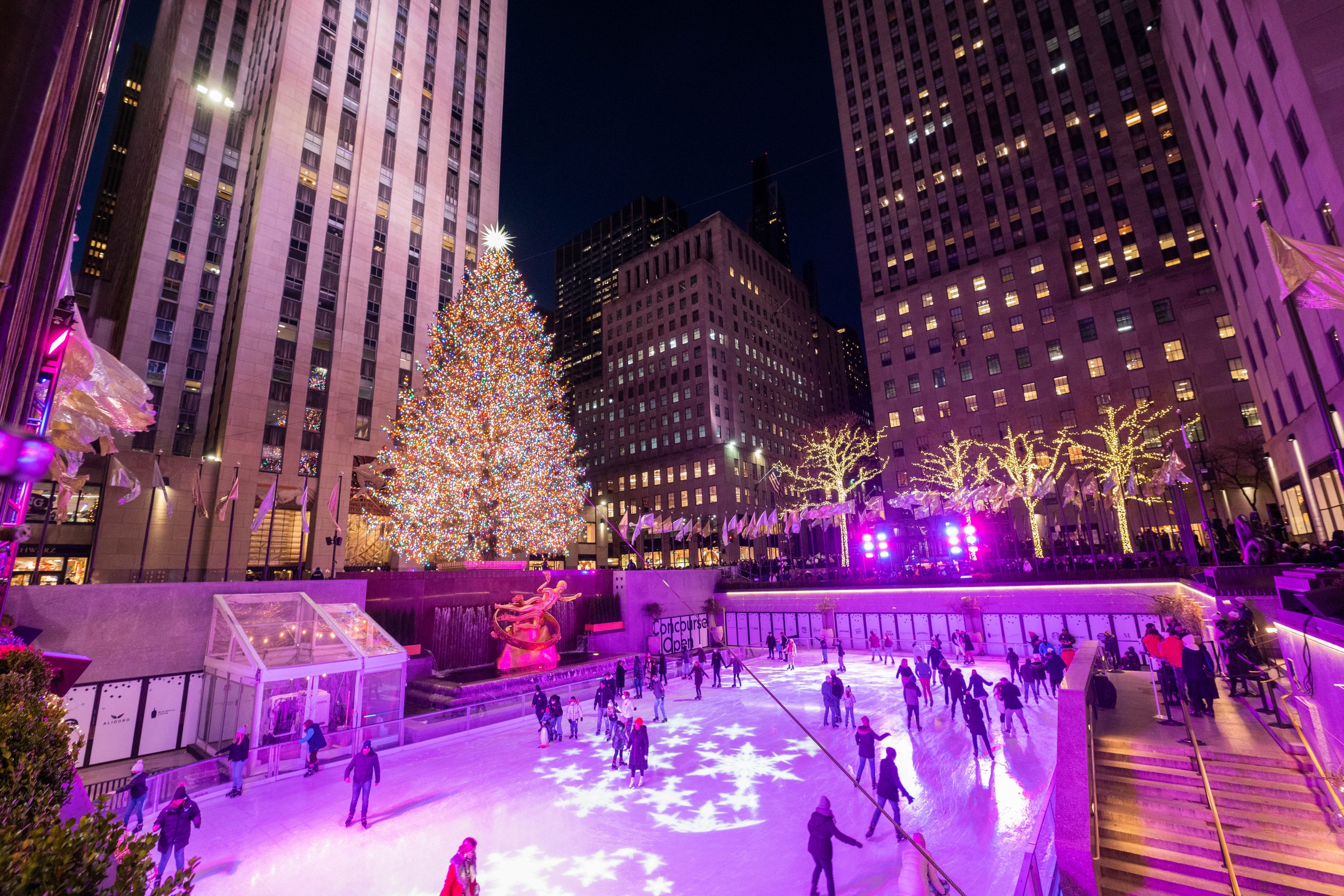 The Rockefeller Center Christmas tree glowing over the skating rink at night