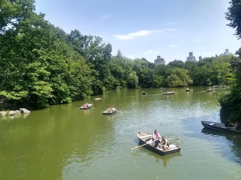 Rowboats on the Central Park Lake