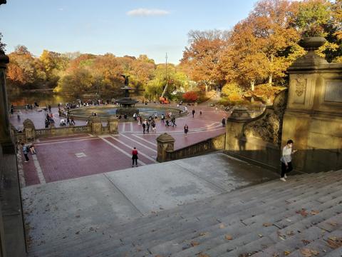 Bethesda Terrace in November, its steps leading down to the fountain under autumn trees